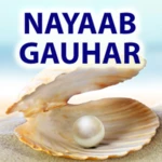 Logo of Nayaab Gauhar android Application 